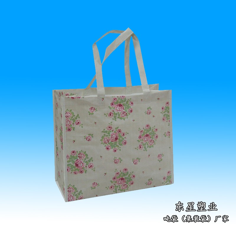購(gòu)物袋